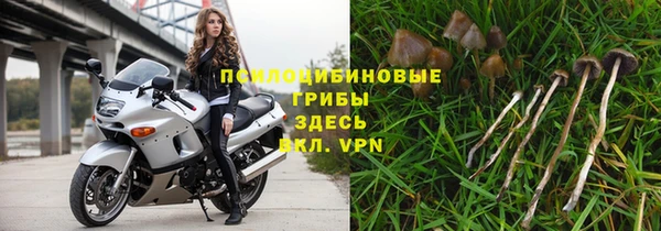 apvp Гусев