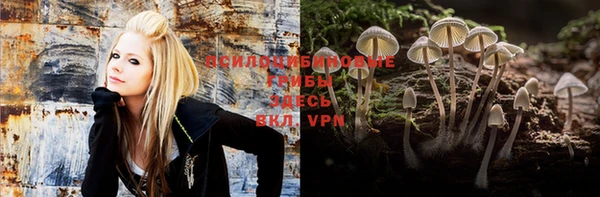 шишки Дмитров