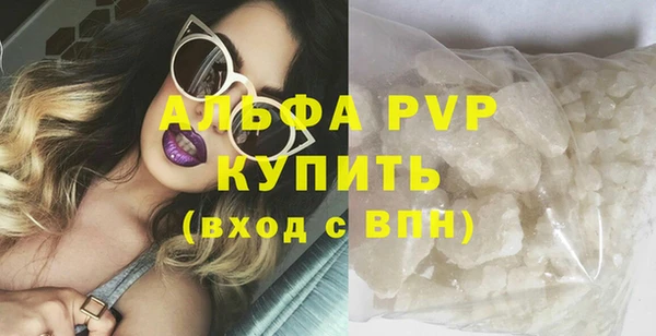 apvp Гусев